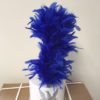 Varied Color Plumes, 15" (104)