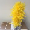 Varied Color Plumes, 15" (104) - Image 6