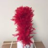 Varied Color Plumes, 15" (104) - Image 2